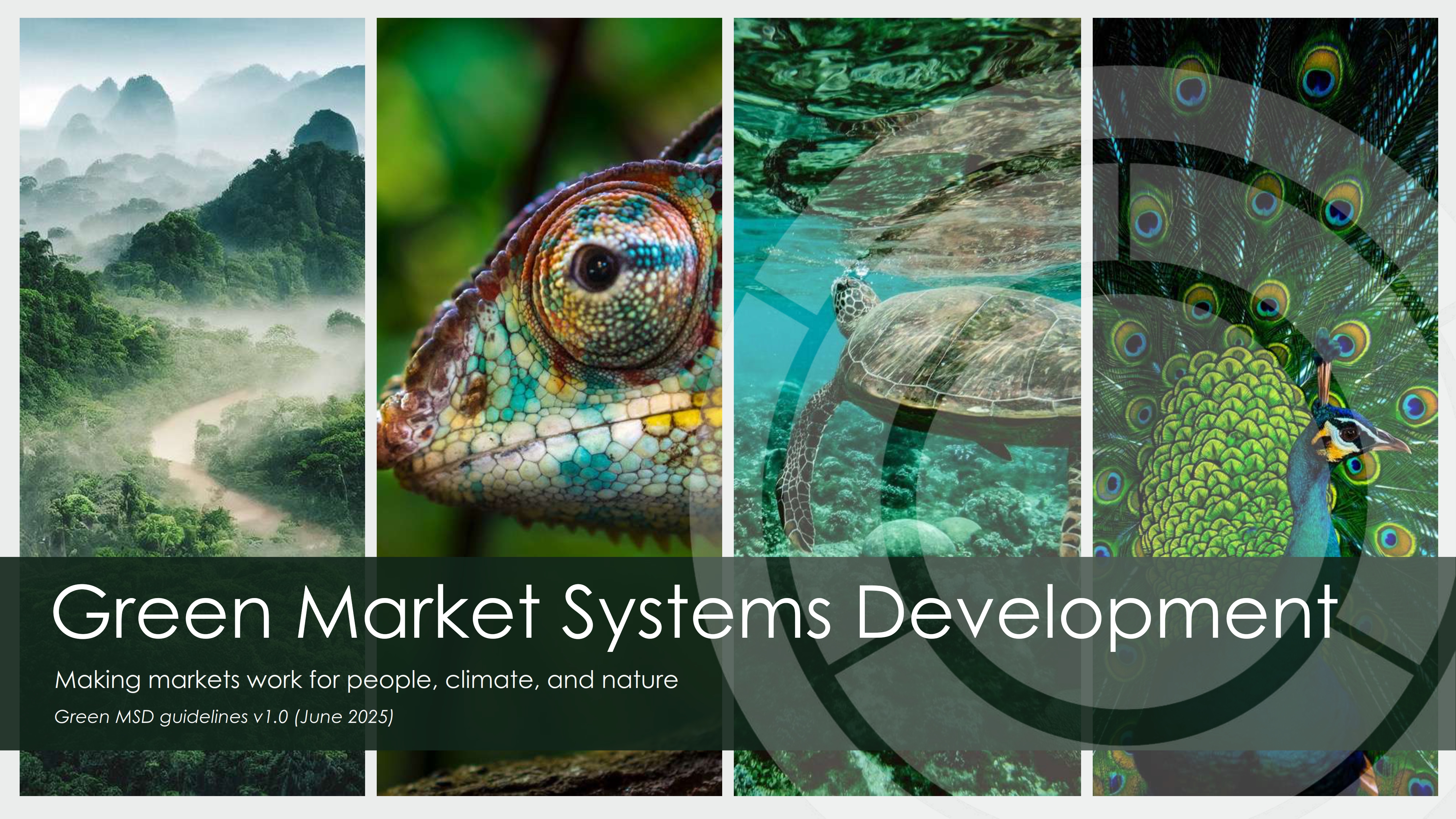 Green Market Systems Development, Making markets work for people, climate, and nature.