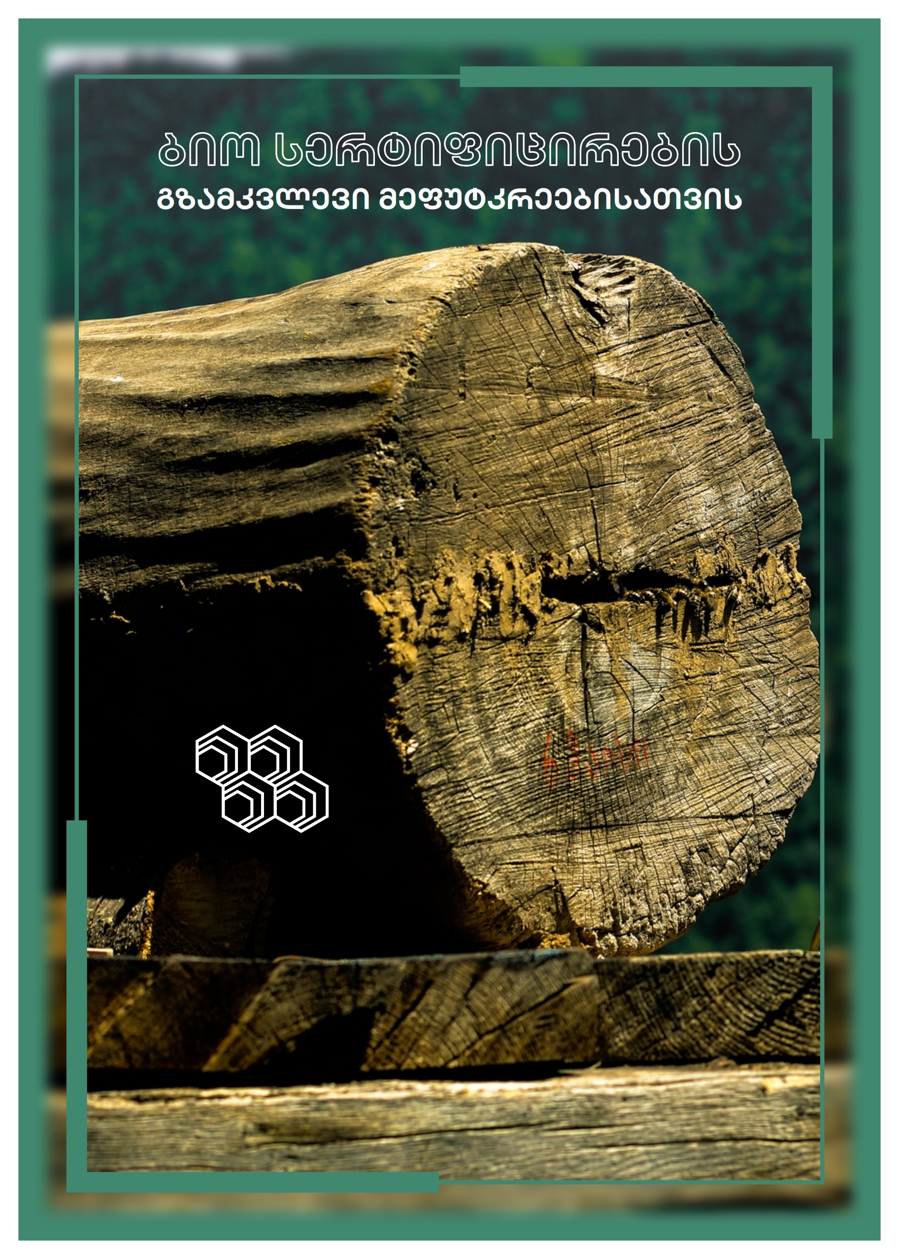 BIO CERTIFICATION GUIDELINES FOR BEEKEEPERS - GEO Version