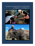 Alliances KK  First Phase Synthesis Report 2011 to 2013